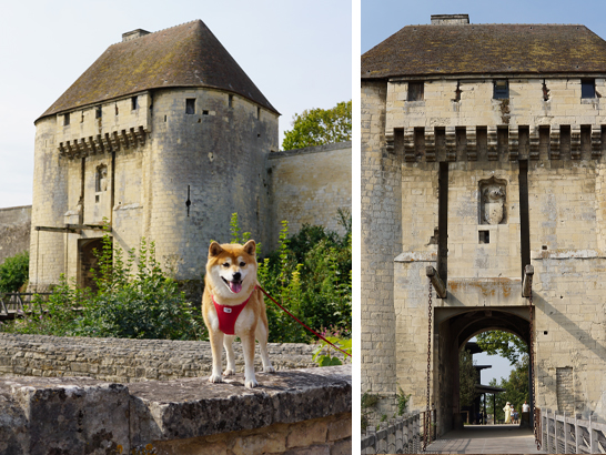 Le château de Caen avec son chien