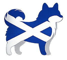 drapeau Ecosse