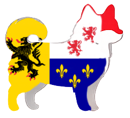 drapeau hauts-de-france