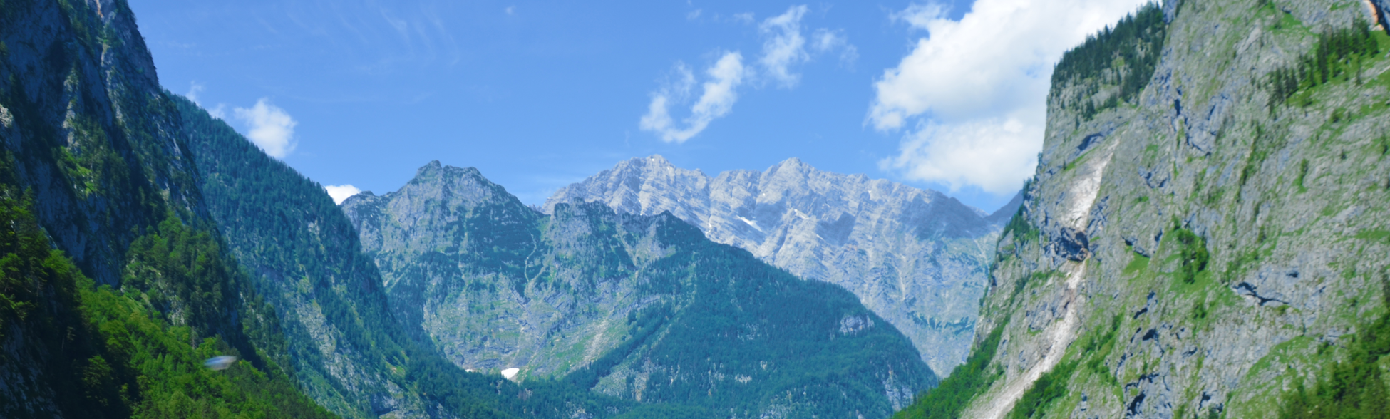 Voyager avec son chien en France et Europe