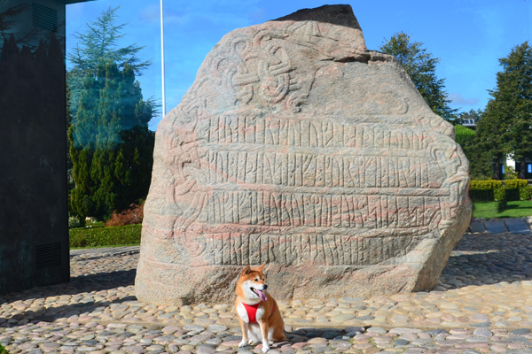 Voyager avec son chien au Danemark