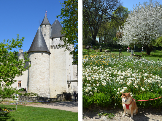 Voyager avec son chien au château du Rivau
