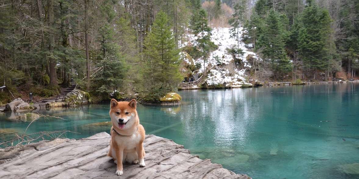 Blausee